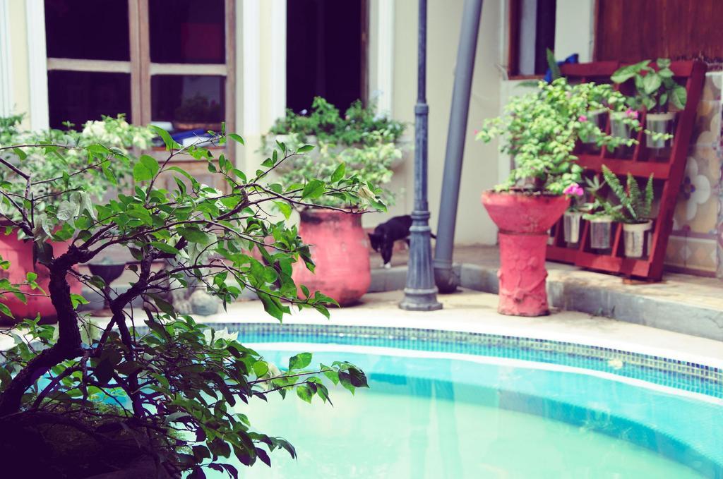 Hostal Sonati León المظهر الخارجي الصورة